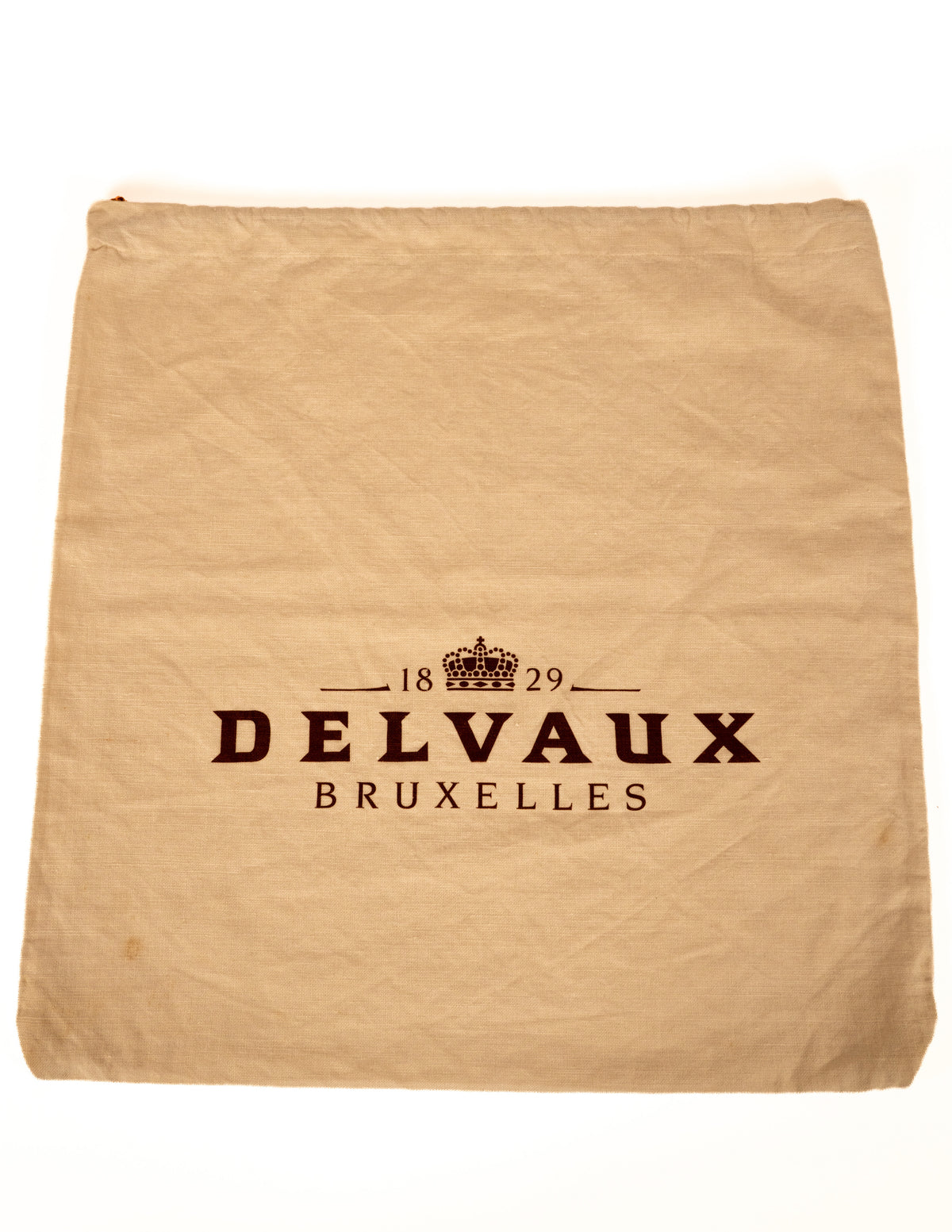 DELVAUX RAFALE Handtastique