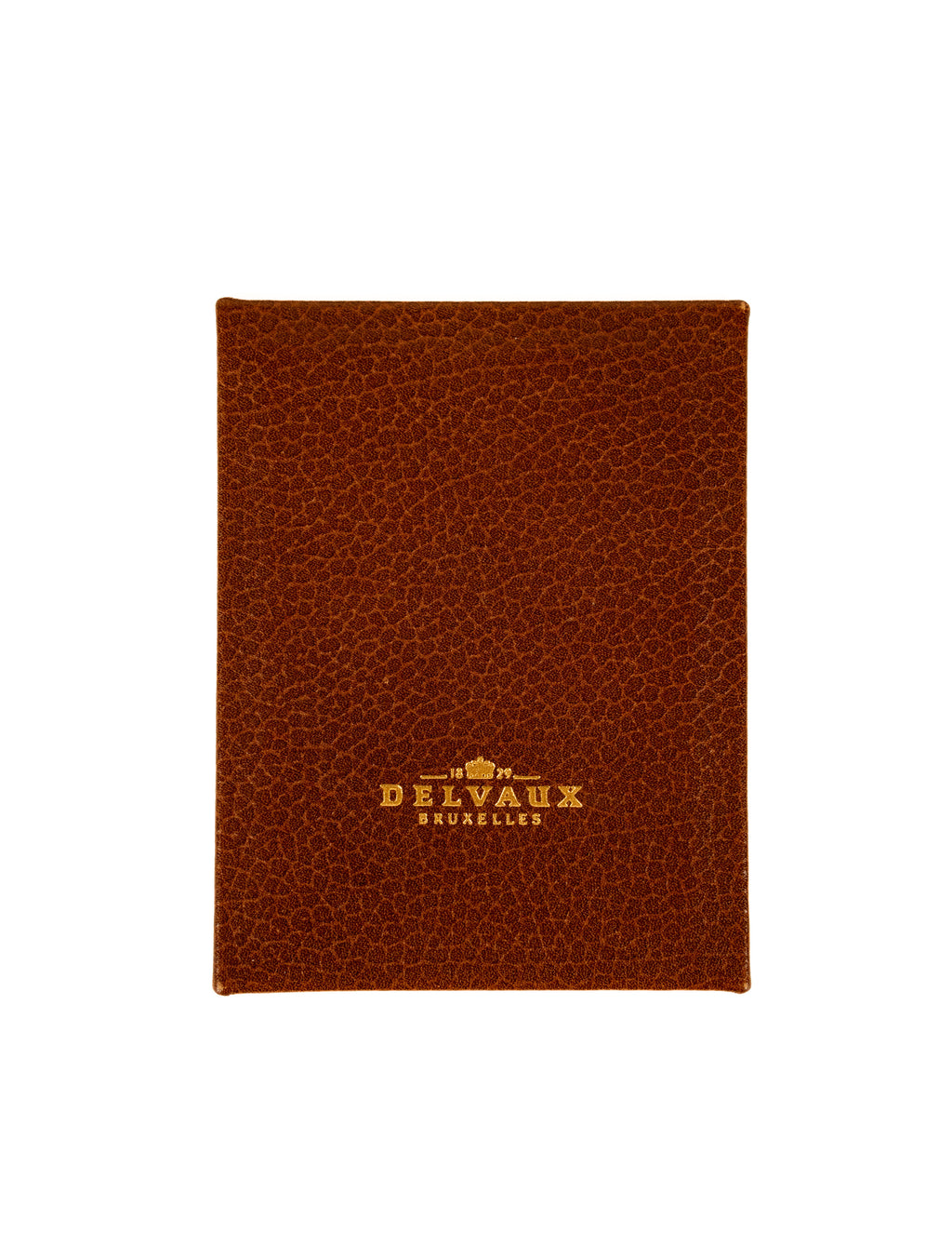 DELVAUX AMITÉ Handtastique